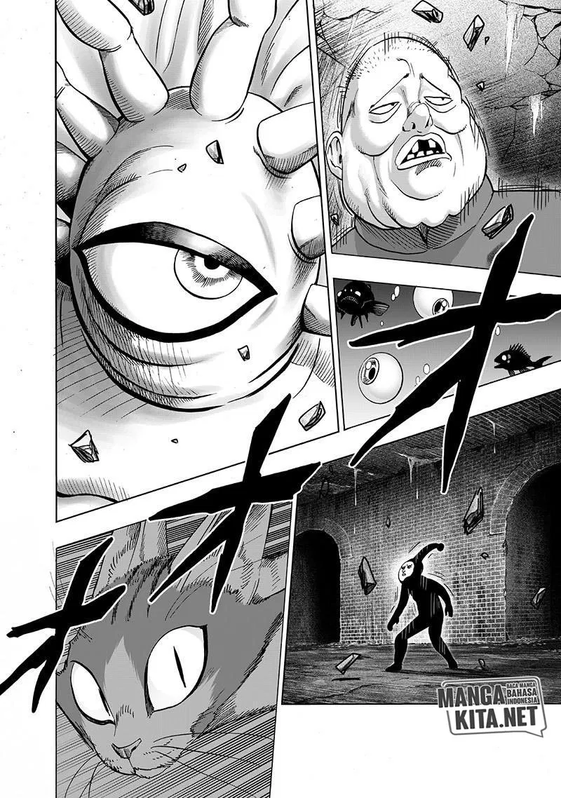 Read One Punch-Man ID Manga Online