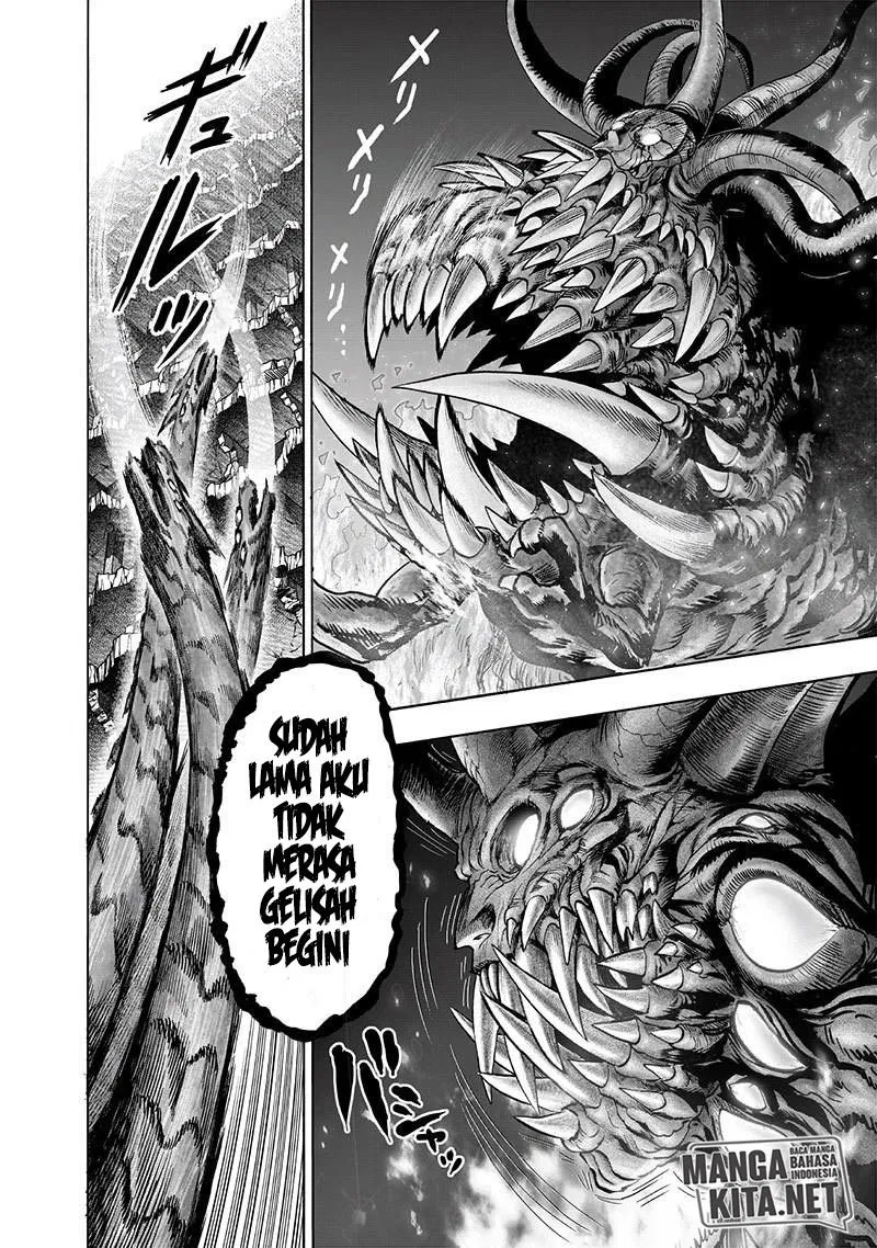 Read One Punch-Man ID Manga Online