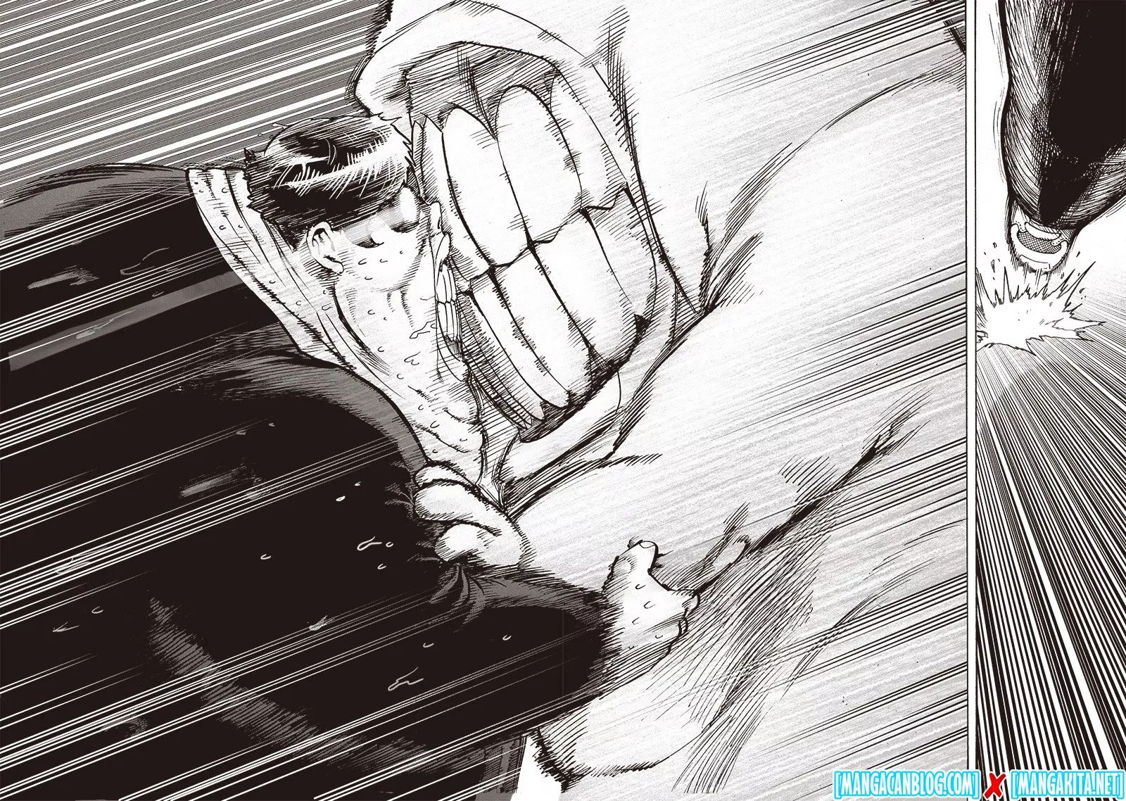 Read One Punch-Man ID Manga Online