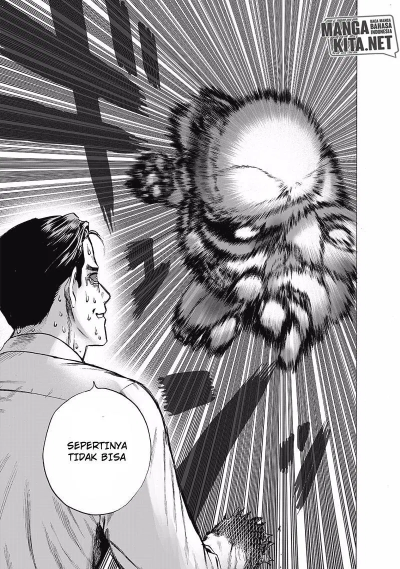 Read One Punch-Man ID Manga Online