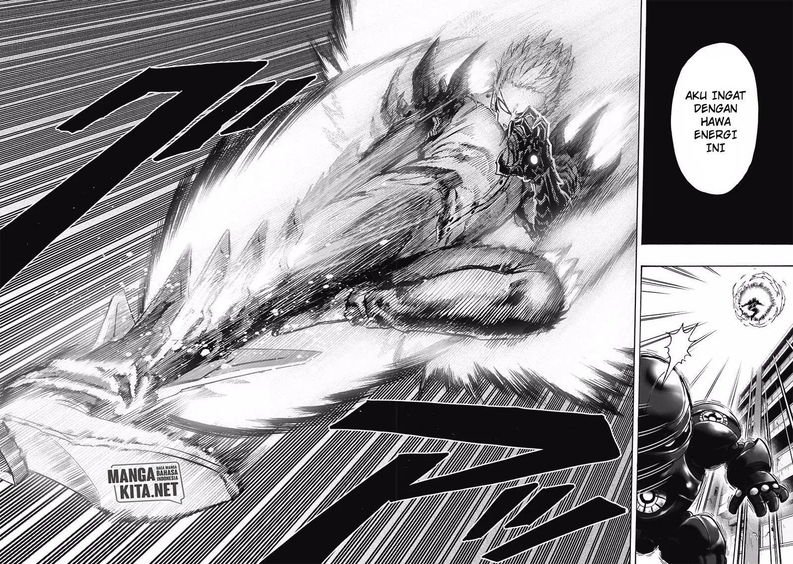 Read One Punch-Man ID Manga Online