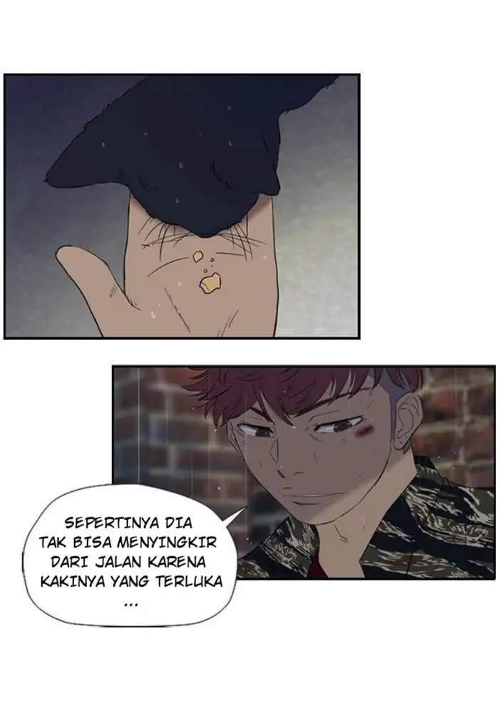 Read Wind Breaker ID Manga Online
