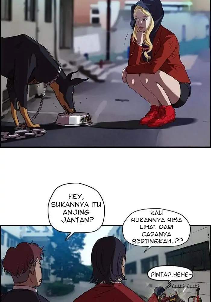 Read Wind Breaker ID Manga Online