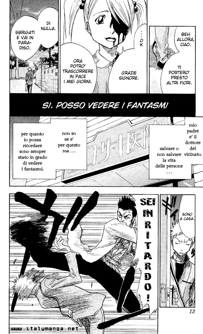 Read Bleach IT Manga Online