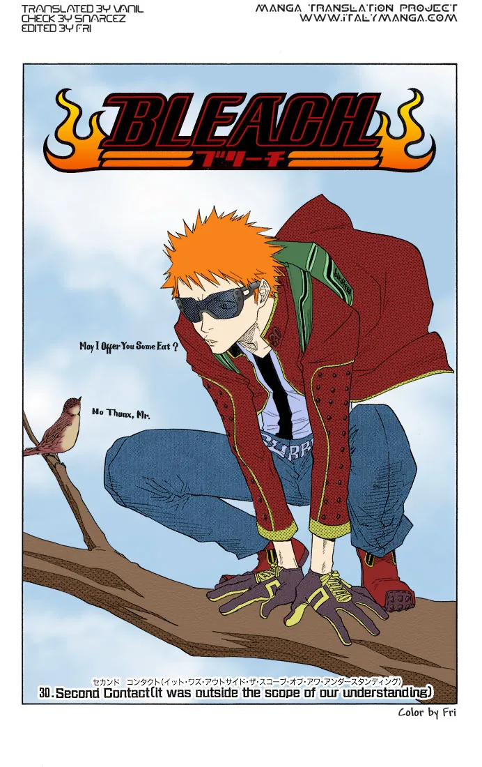 Read Bleach IT Manga Online