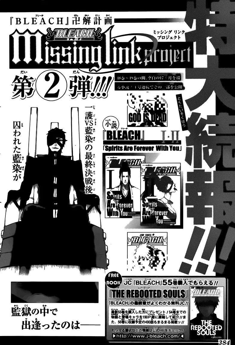 Read Bleach IT Manga Online
