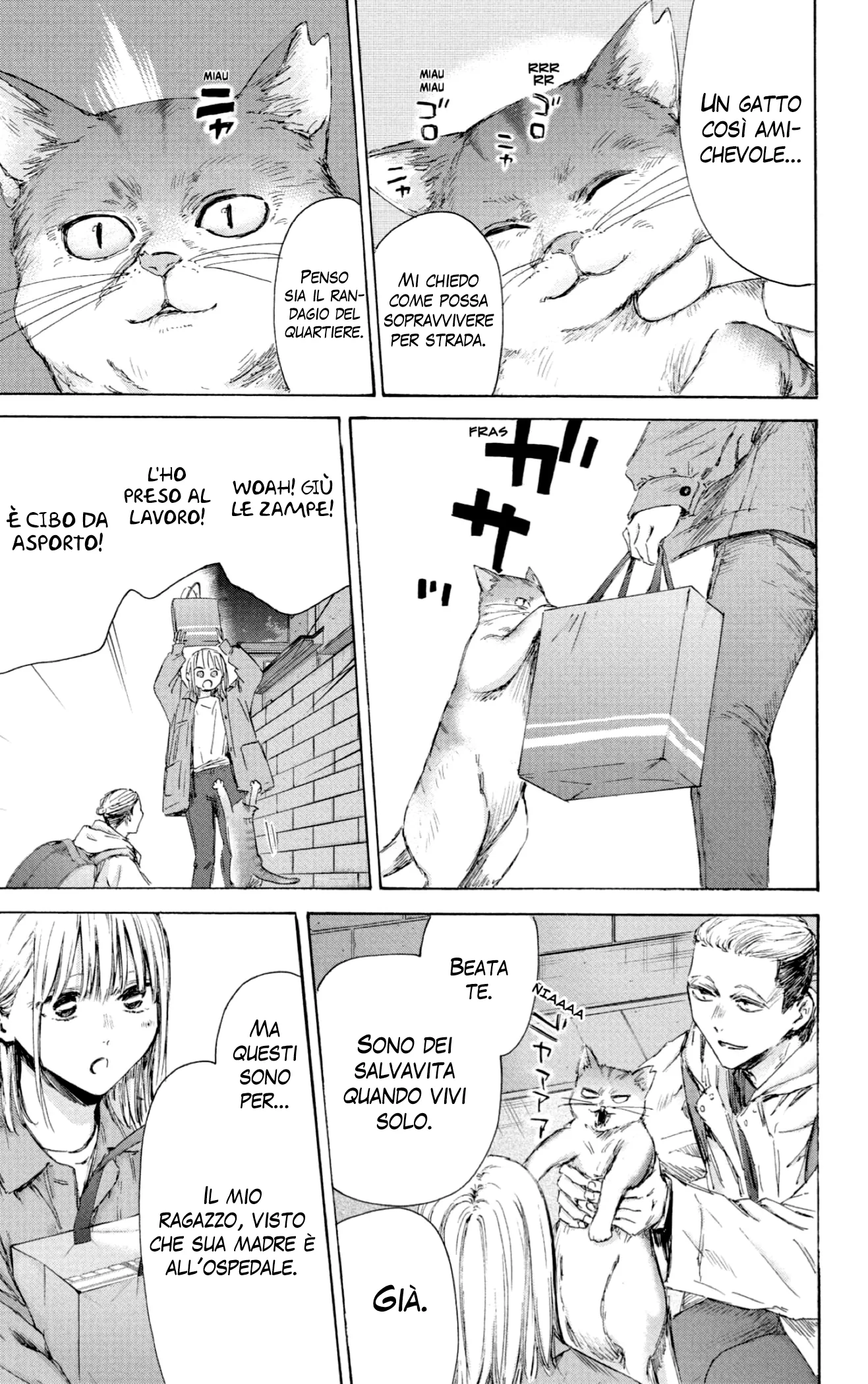 Read Blue Box IT Manga Online