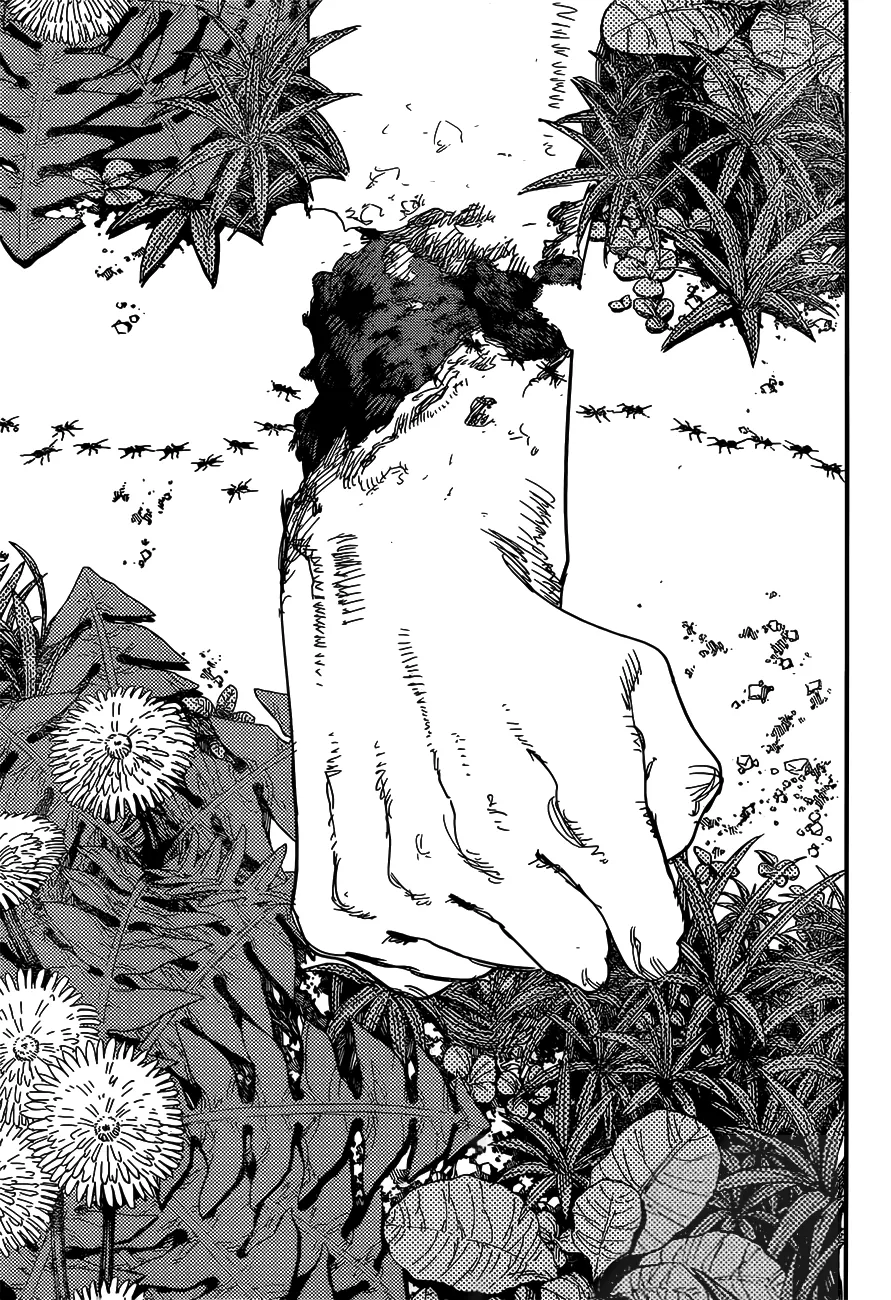 Read Chainsaw Man IT Manga Online