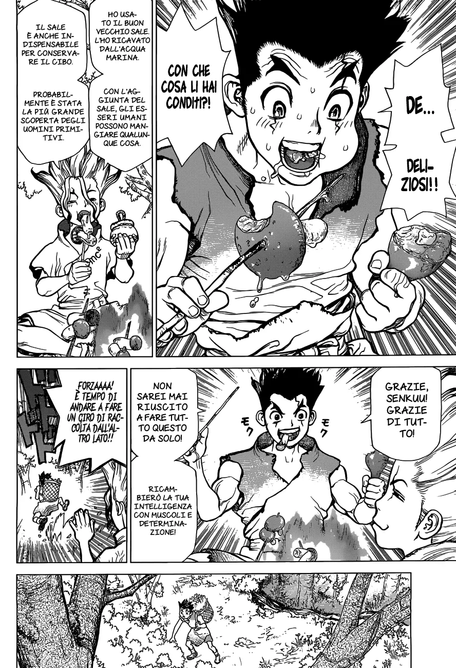 Read Dr. Stone IT Manga Online