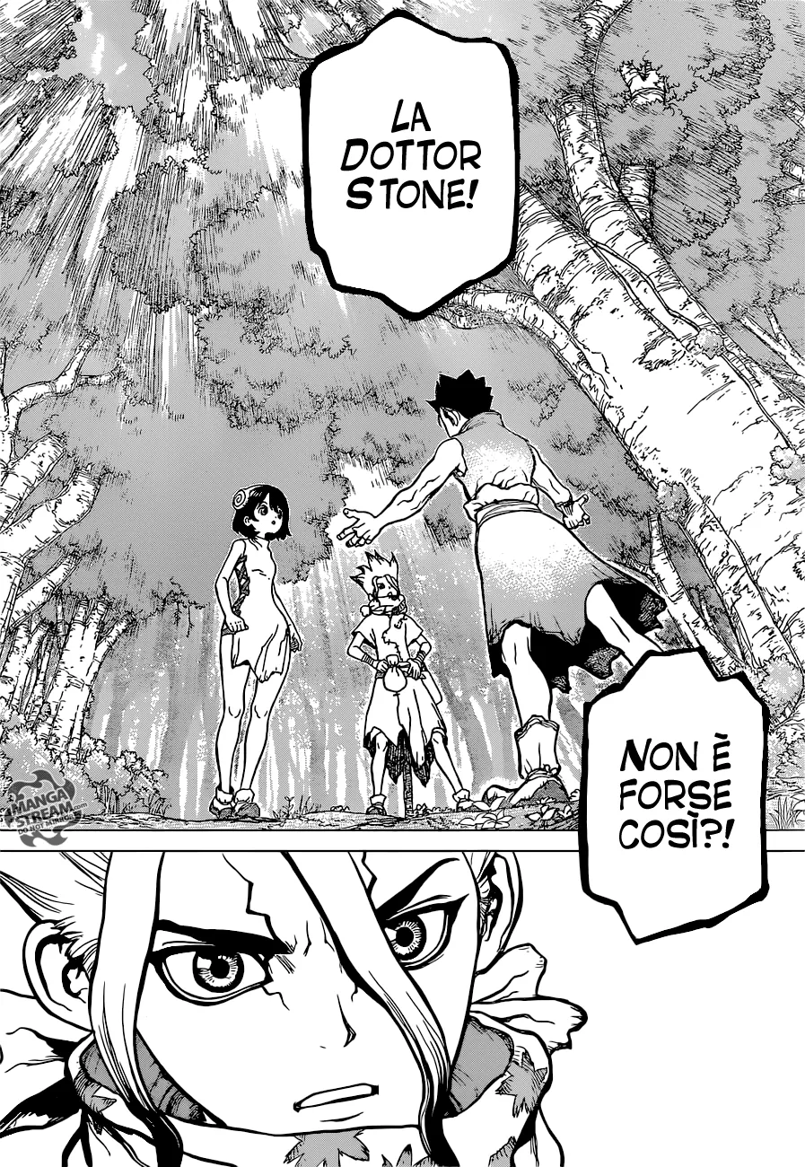 Read Dr. Stone IT Manga Online
