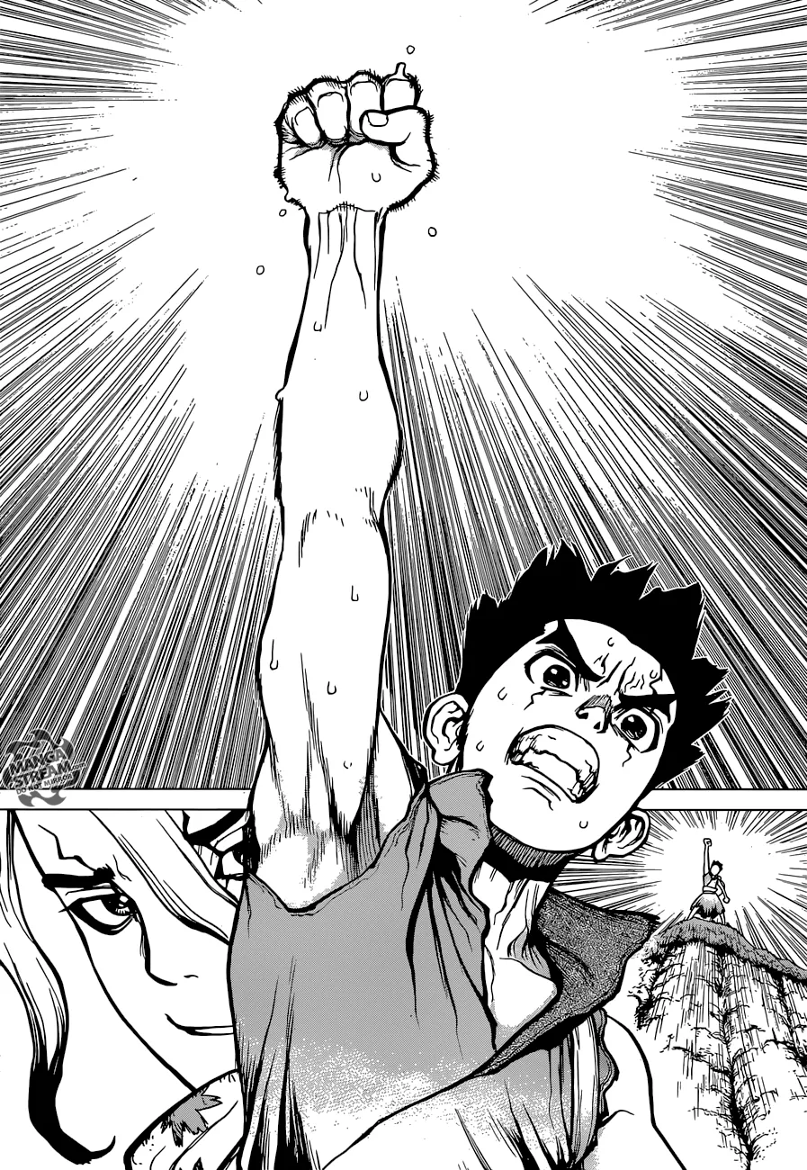Read Dr. Stone IT Manga Online