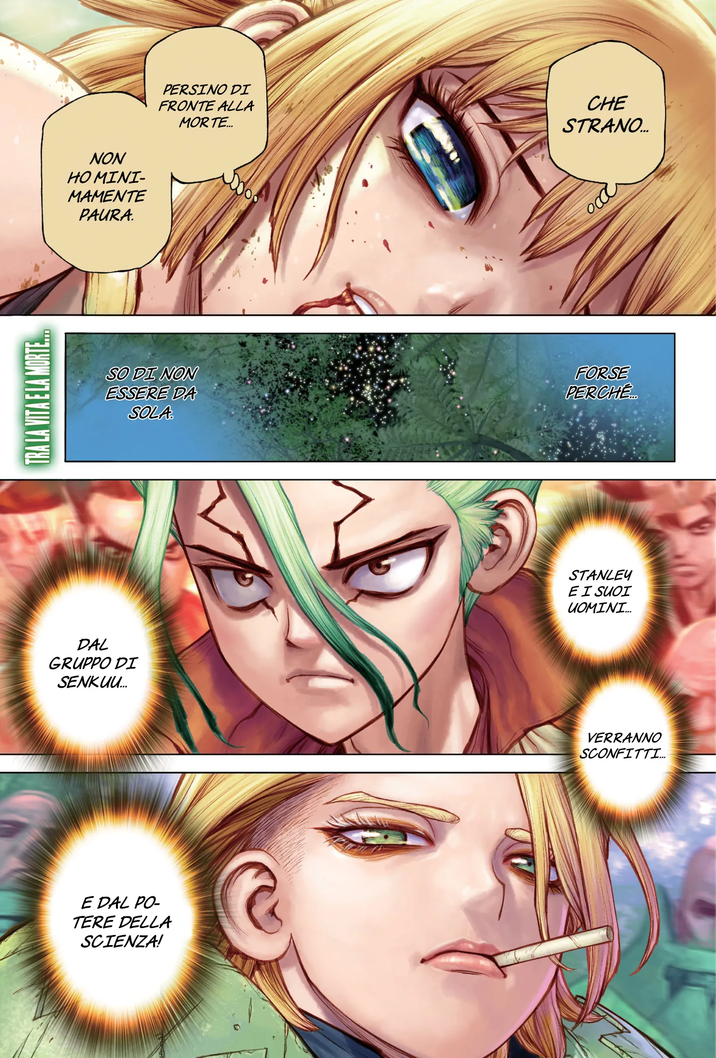 Read Dr. Stone IT Manga Online