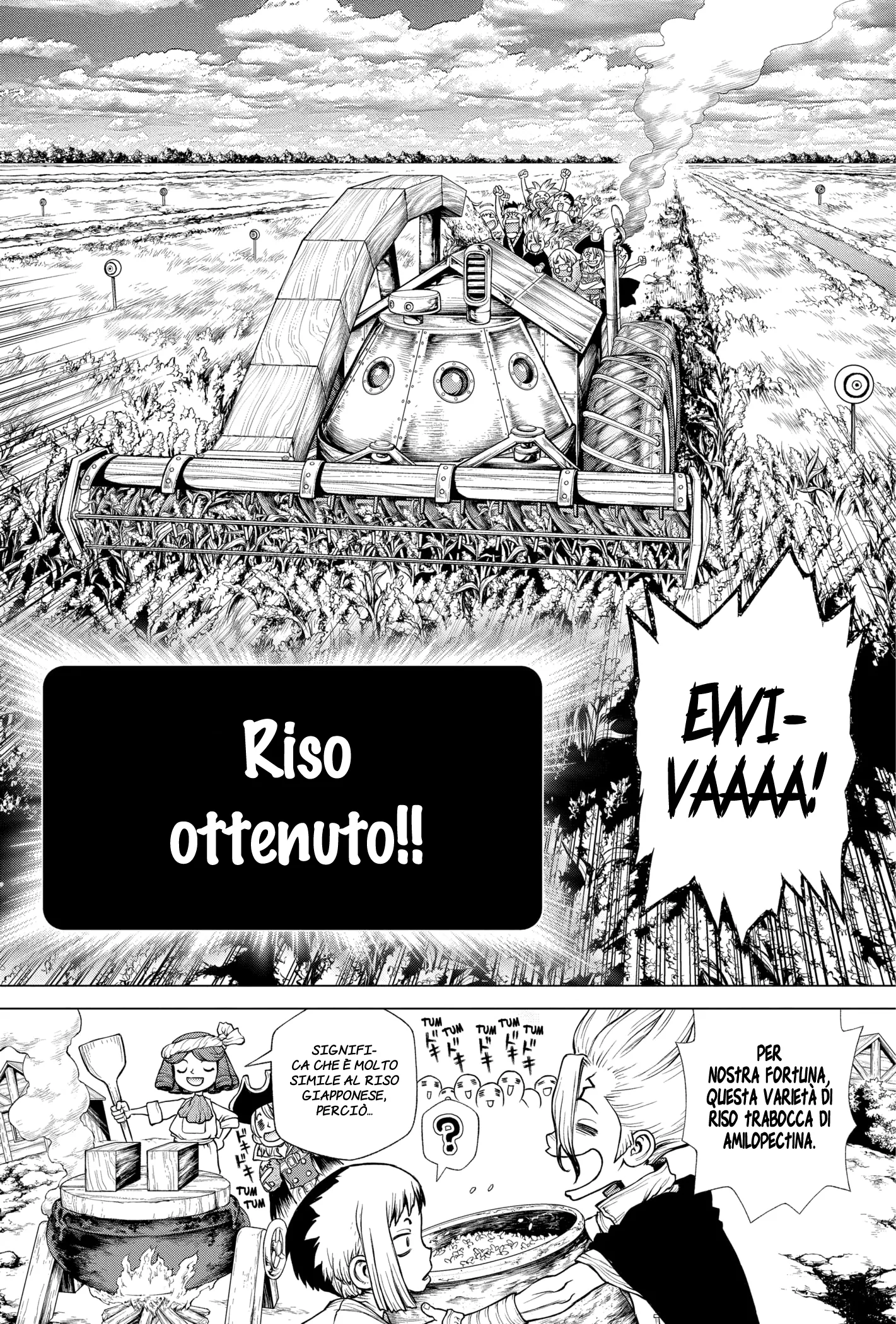 Read Dr. Stone IT Manga Online