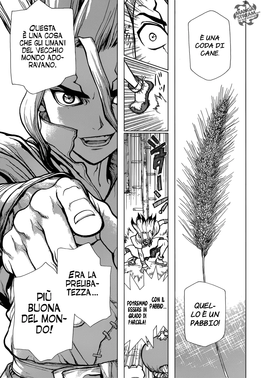 Read Dr. Stone IT Manga Online
