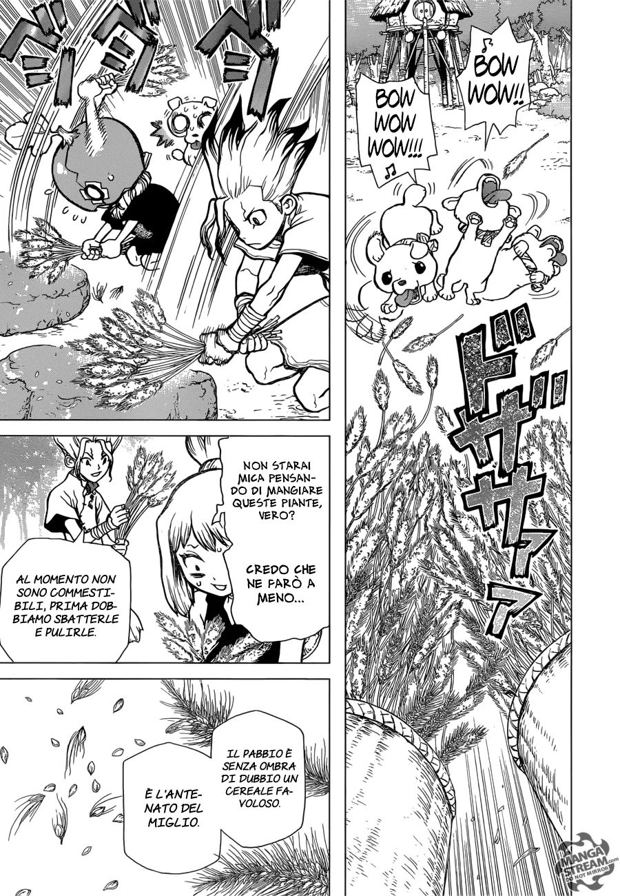 Read Dr. Stone IT Manga Online