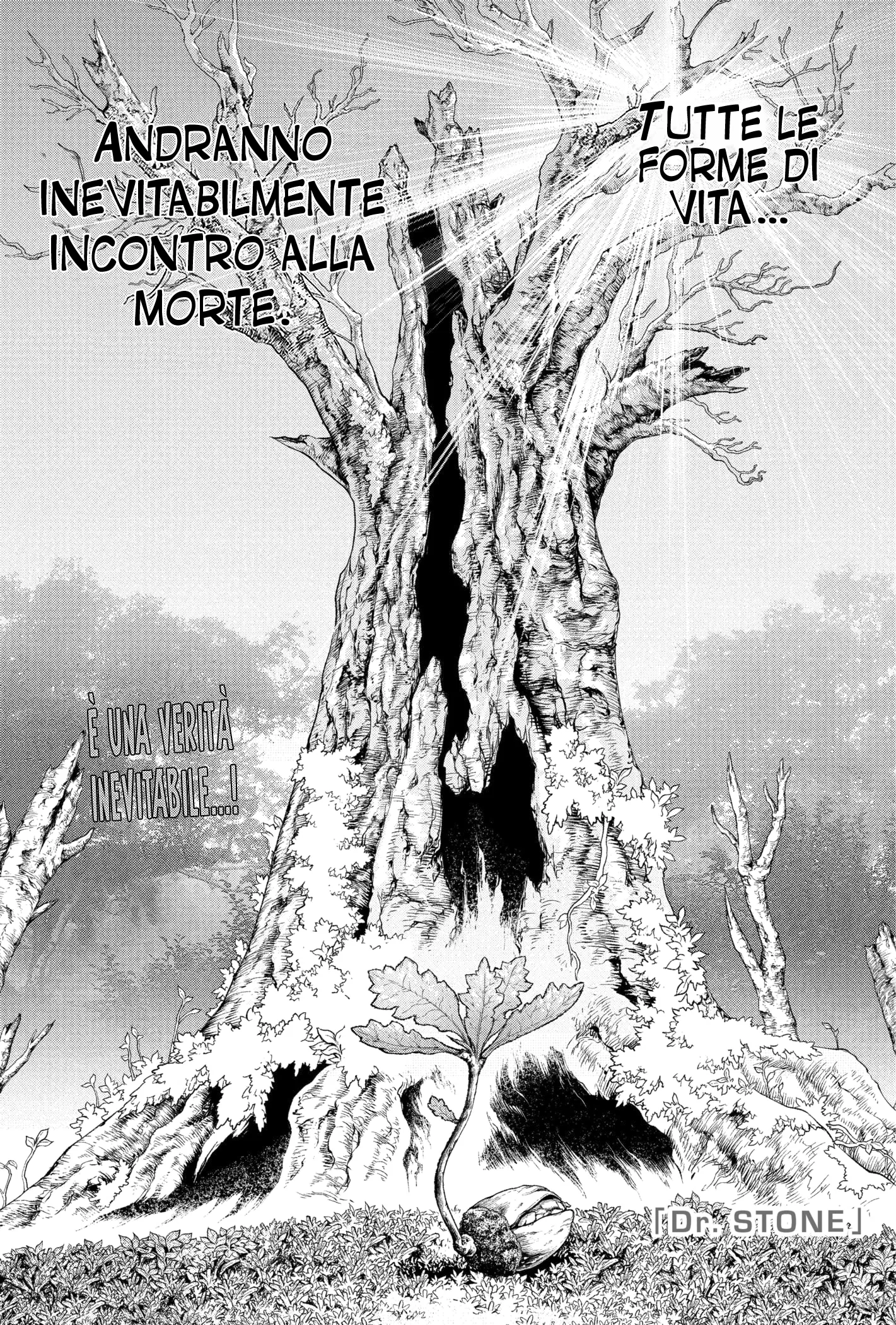 Read Dr. Stone IT Manga Online