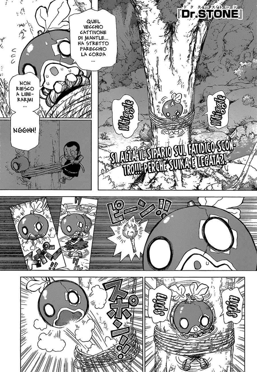 Read Dr. Stone IT Manga Online
