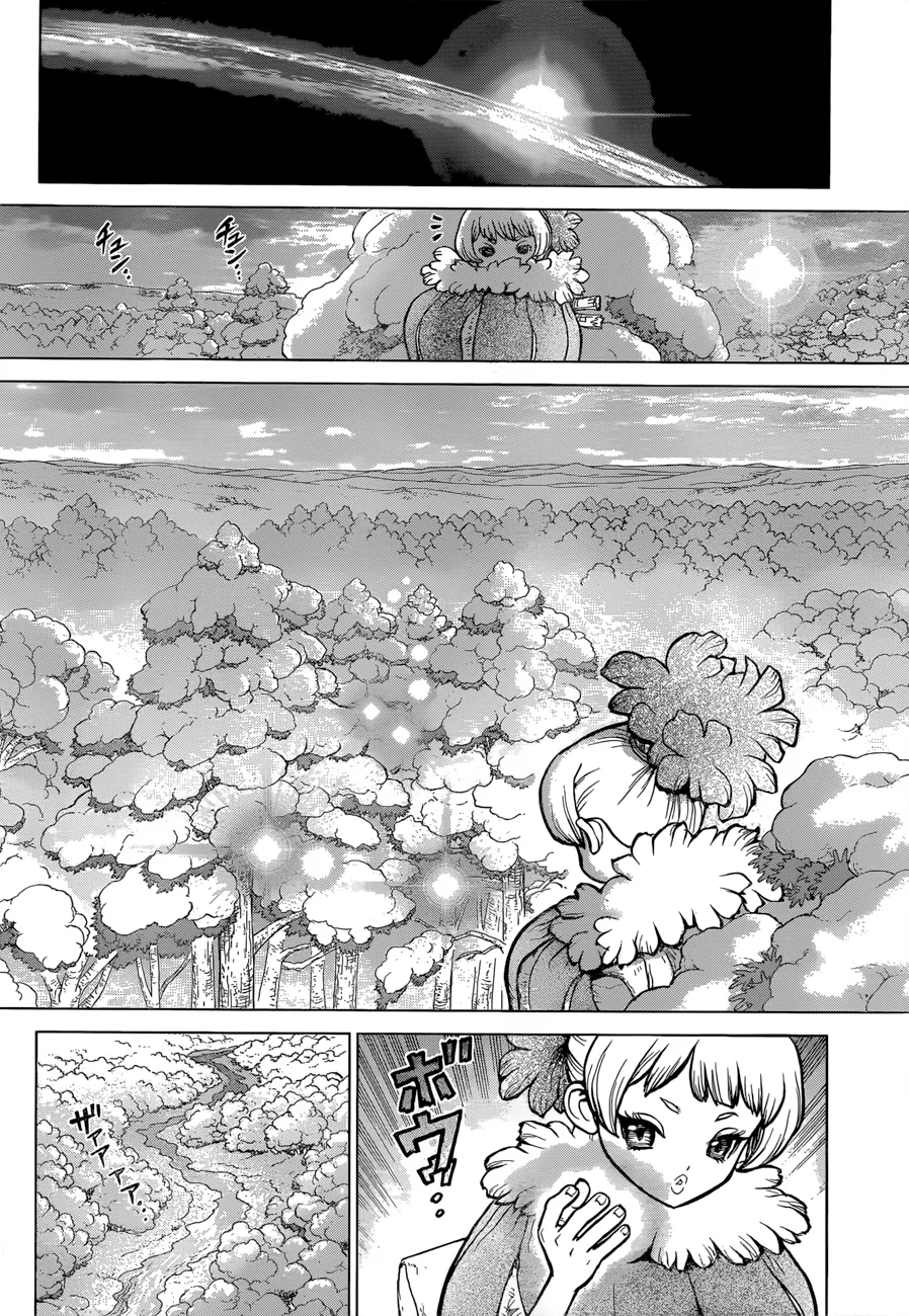 Read Dr. Stone IT Manga Online