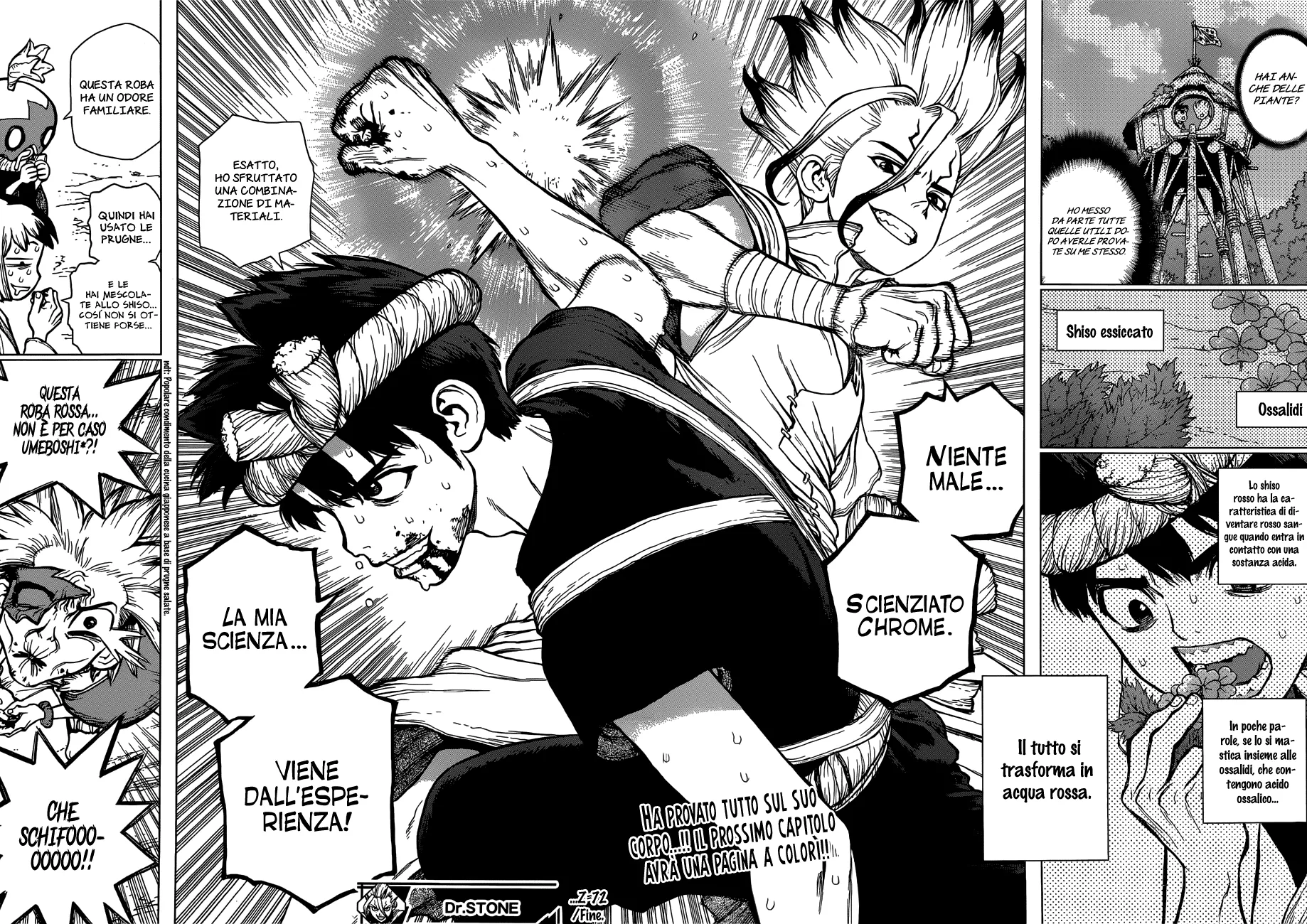 Read Dr. Stone IT Manga Online