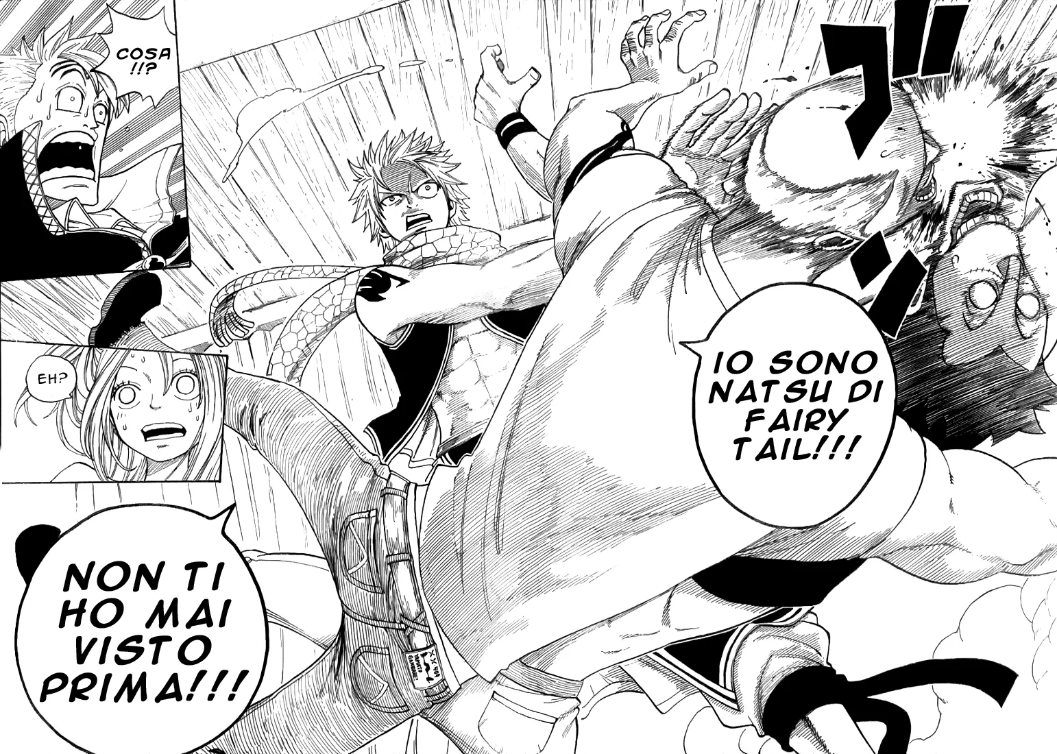 Read Fairy Tail IT Manga Online