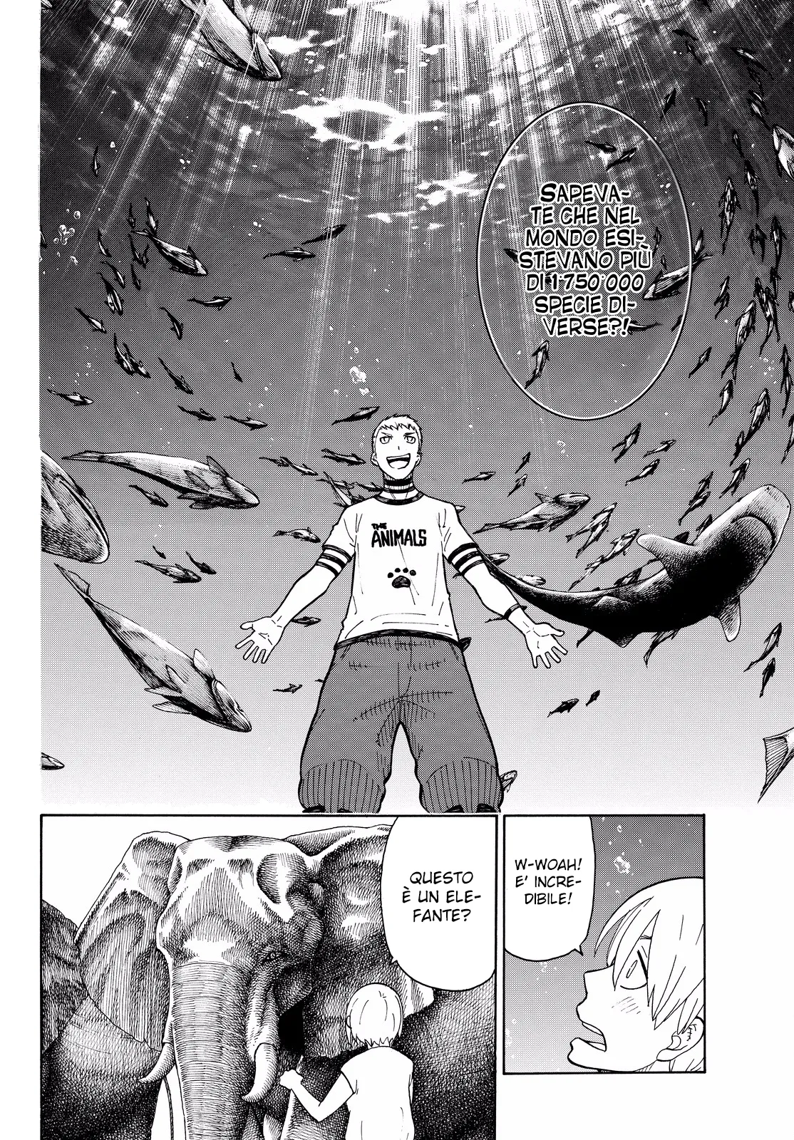Read Fire Force IT Manga Online