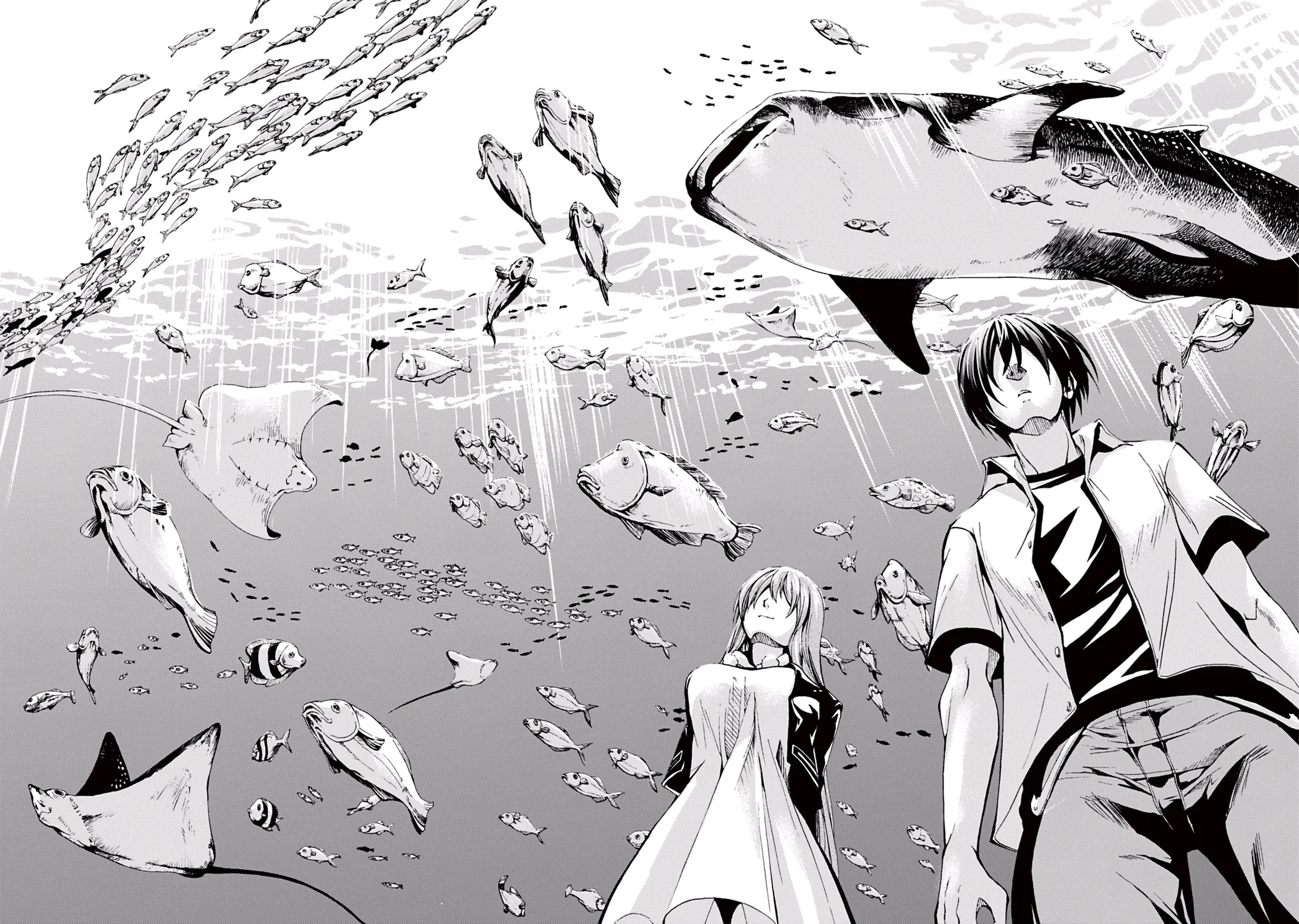 Read Grand Blue IT Manga Online