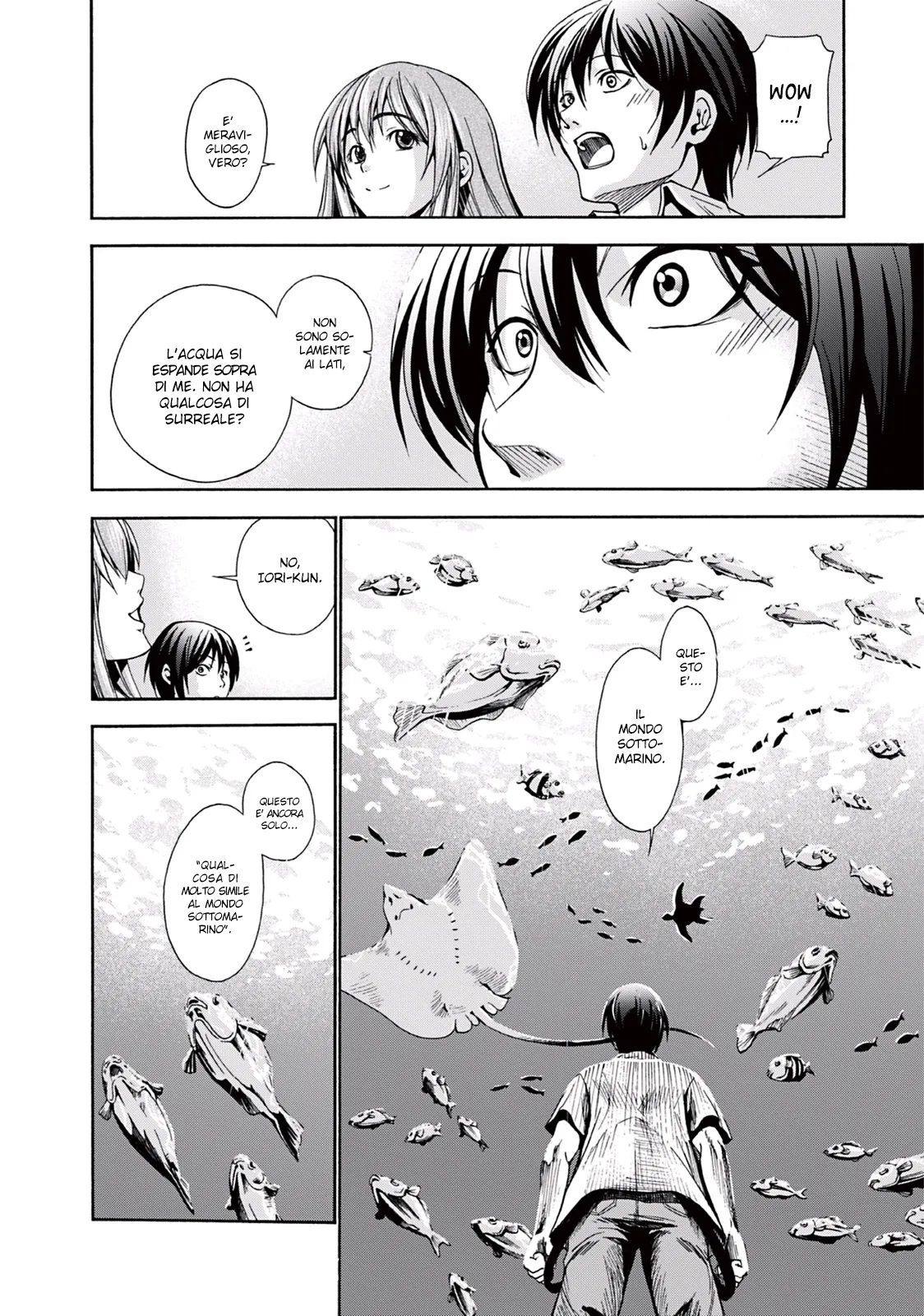Read Grand Blue IT Manga Online