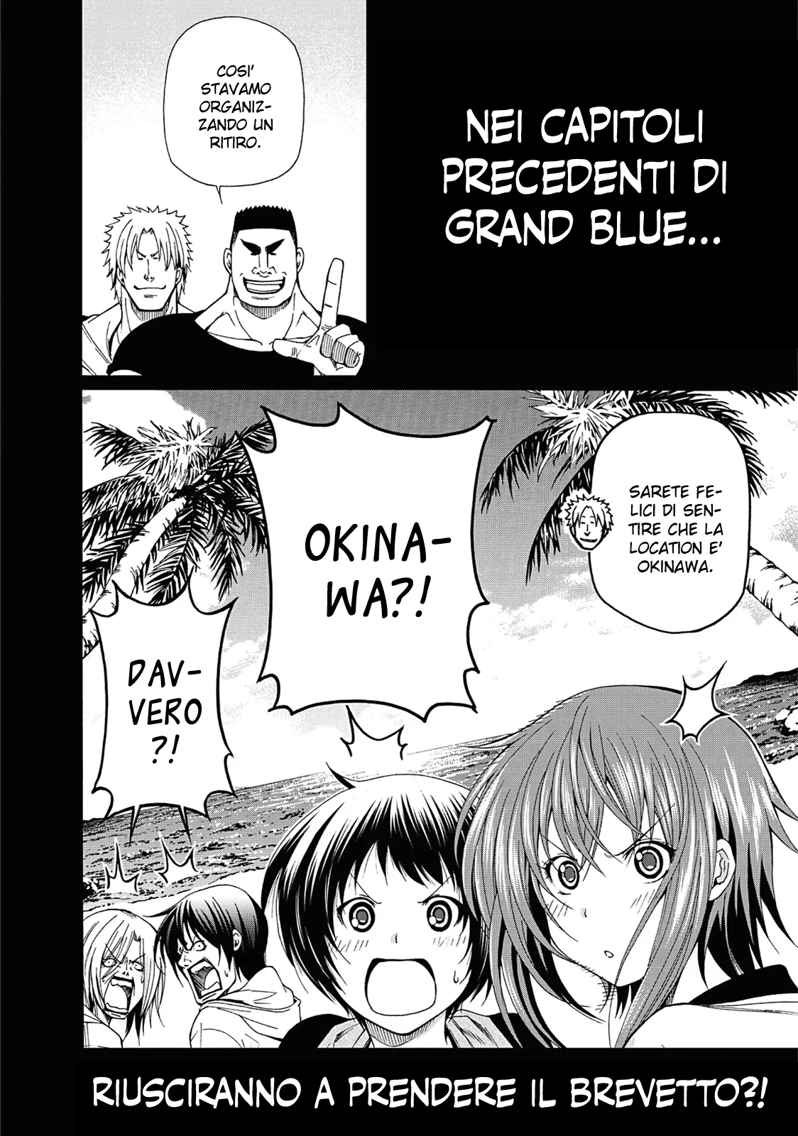 Read Grand Blue IT Manga Online