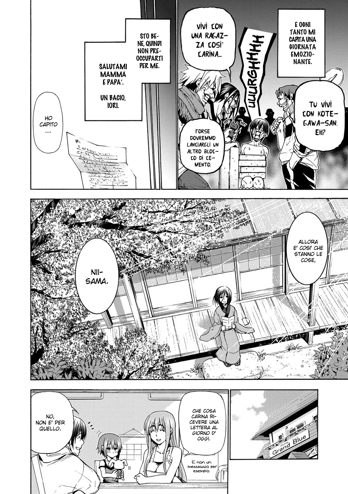 Read Grand Blue IT Manga Online
