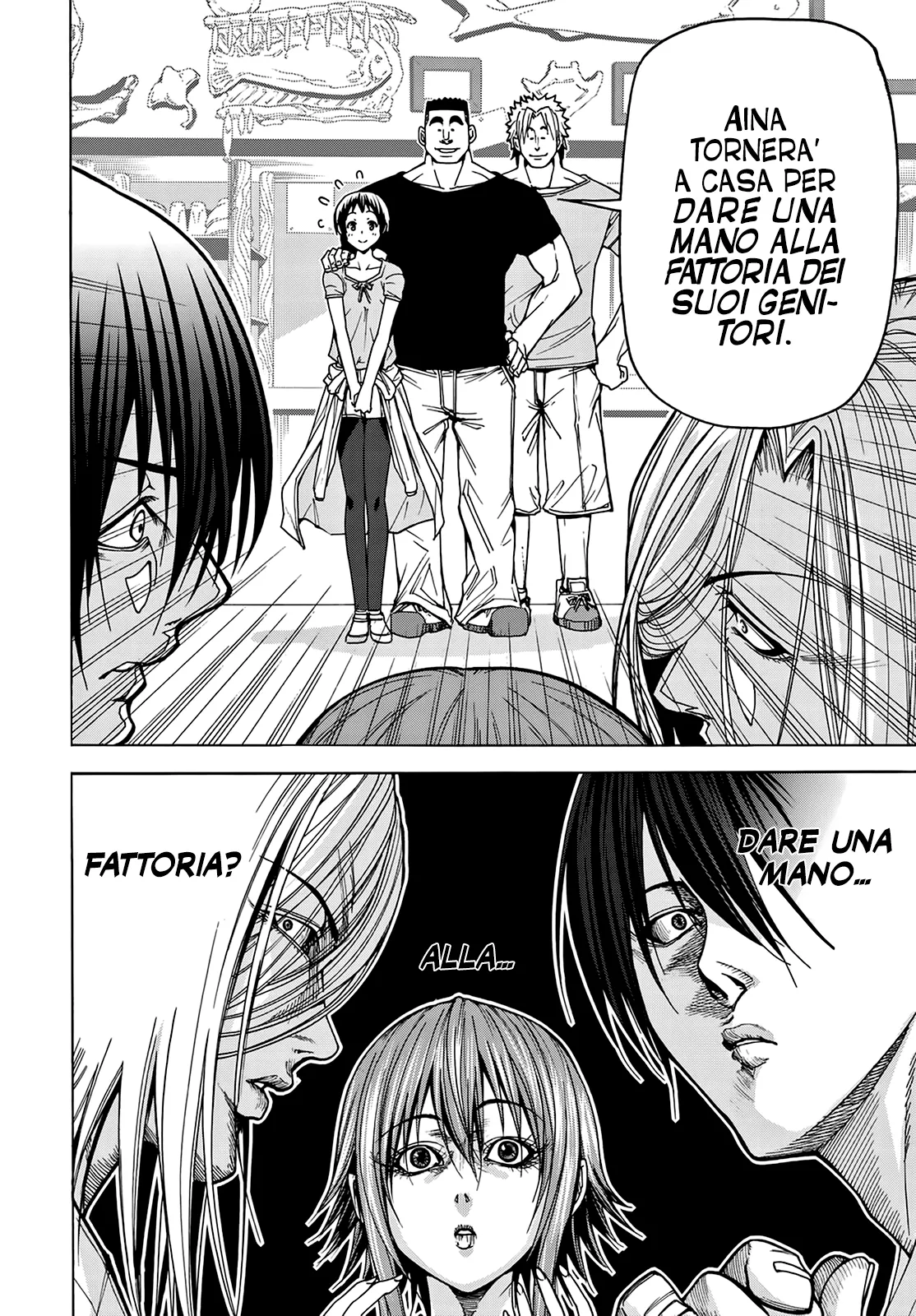 Read Grand Blue IT Manga Online