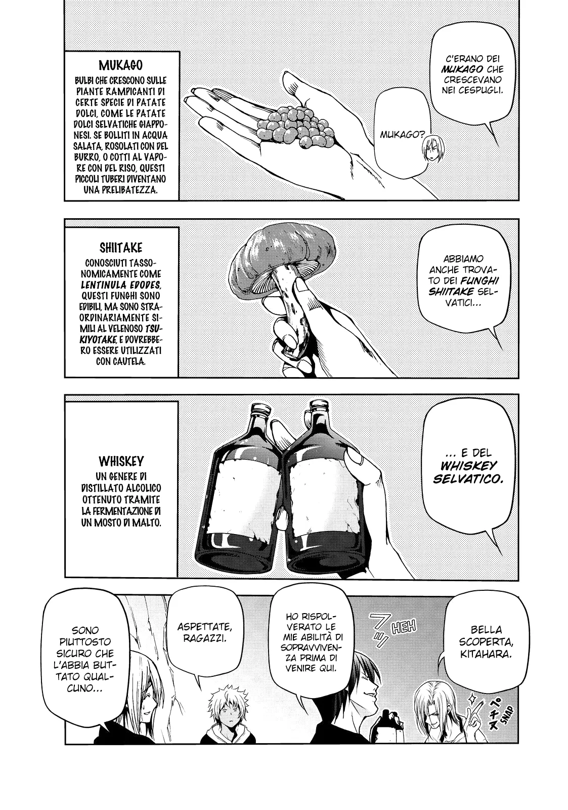 Read Grand Blue IT Manga Online