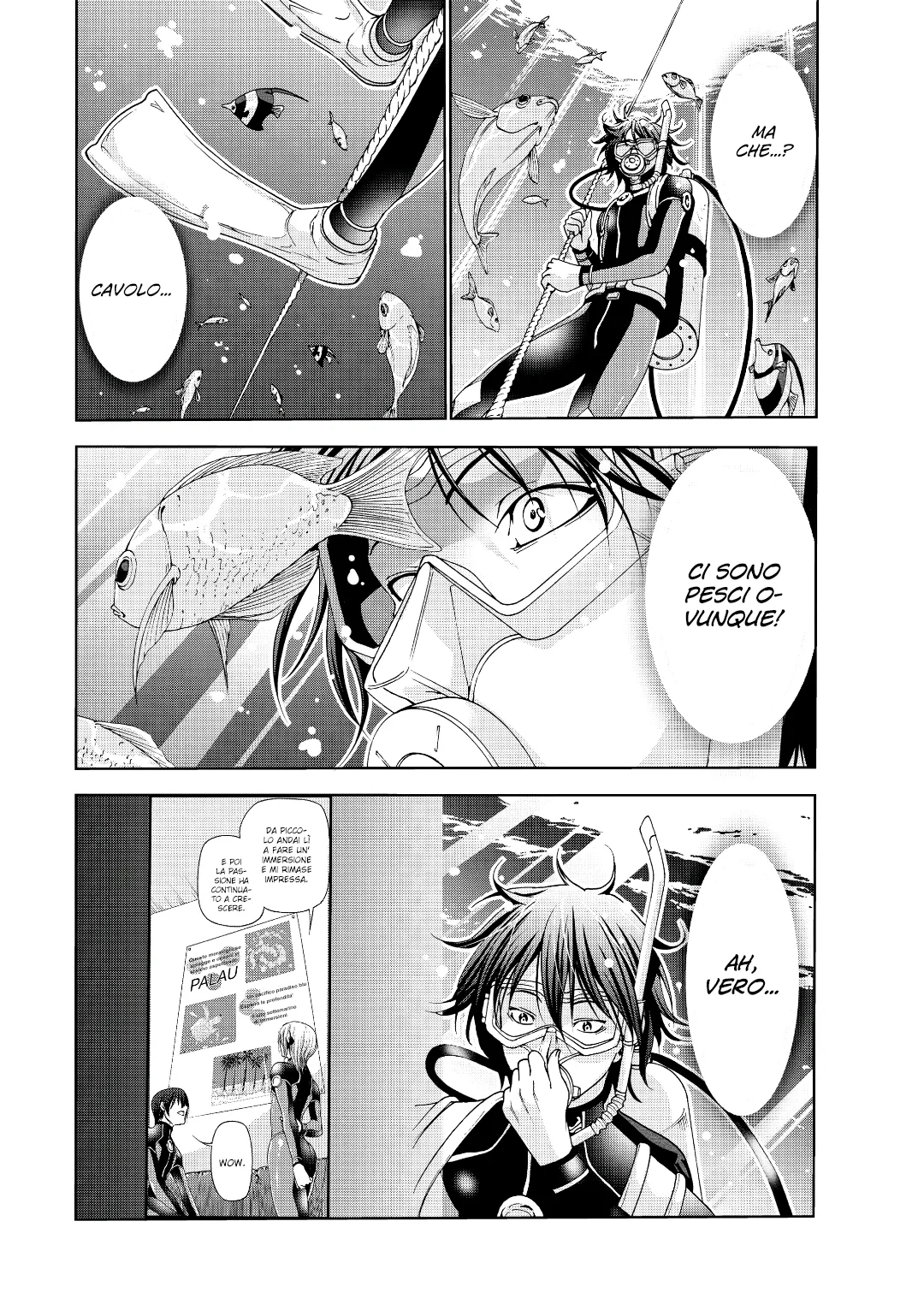 Read Grand Blue IT Manga Online