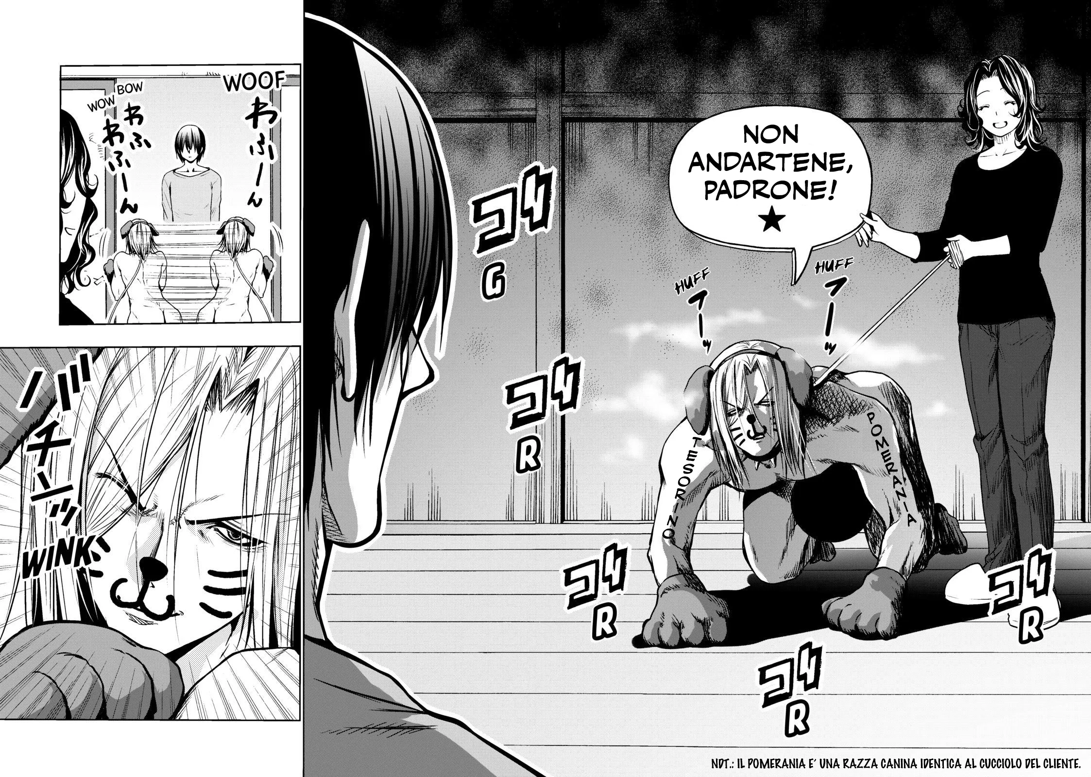 Read Grand Blue IT Manga Online