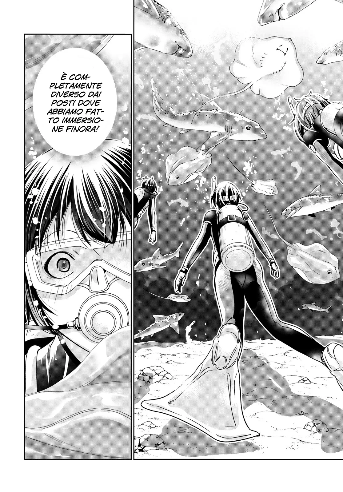 Read Grand Blue IT Manga Online