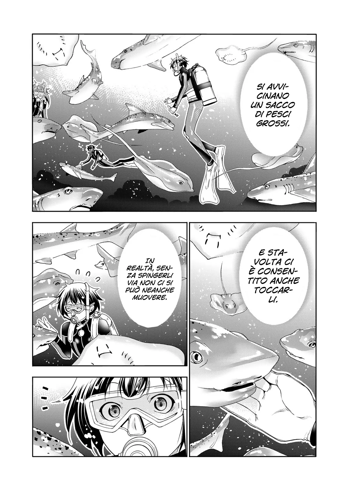 Read Grand Blue IT Manga Online
