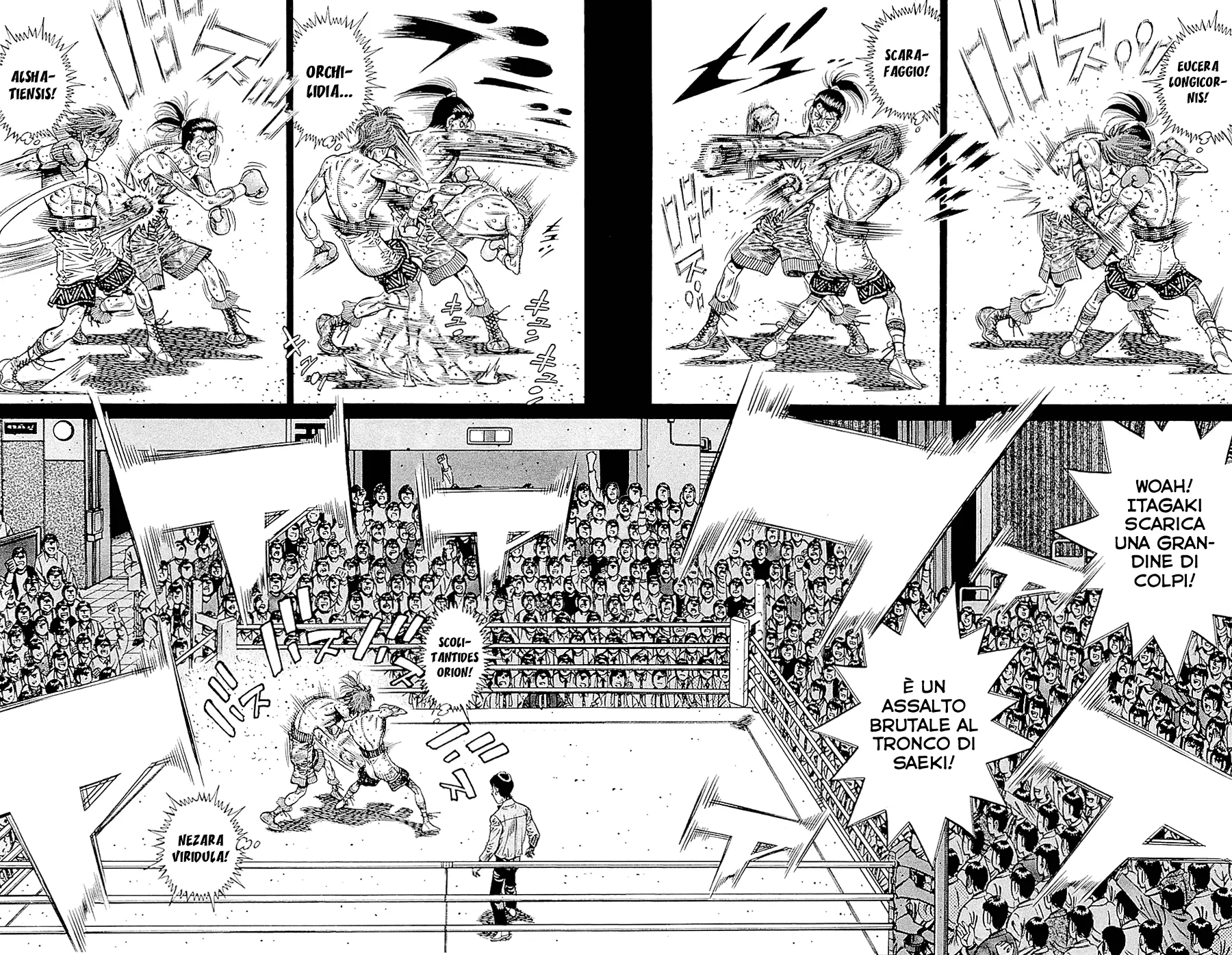 Read Hajime no Ippo IT Manga Online
