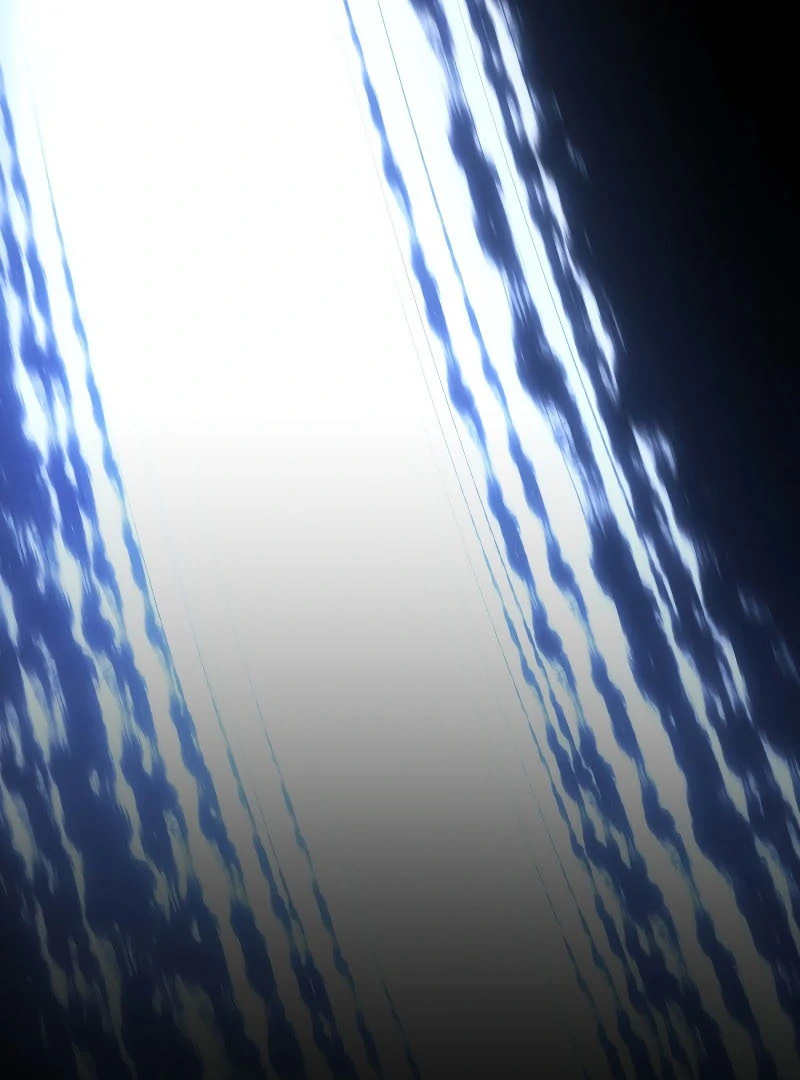 Read The Swordmaster's Son IT Manga Online