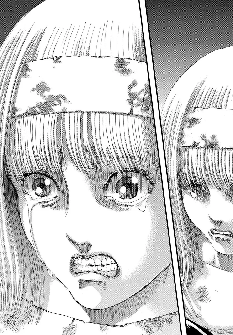 Read Attack on Titan pt Manga Online