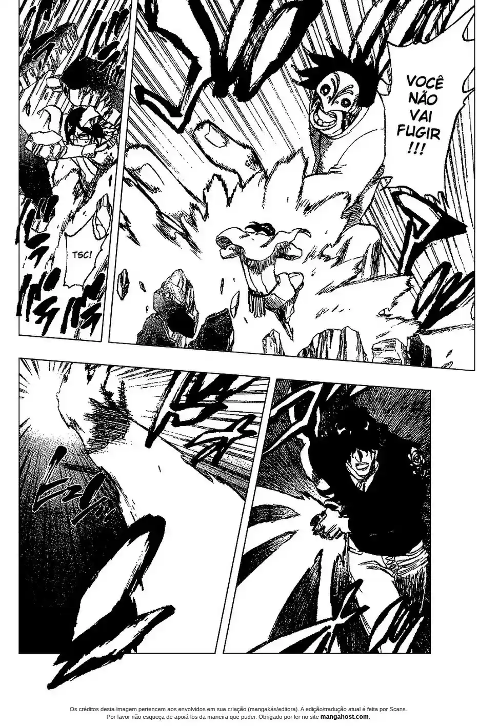 Read Bleach pt Manga Online