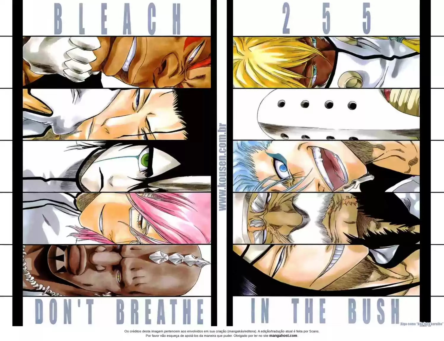 Read Bleach pt Manga Online