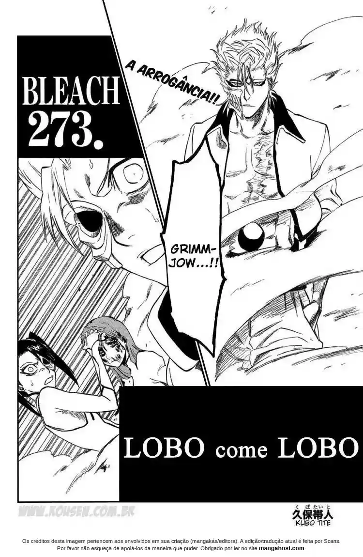 Read Bleach pt Manga Online