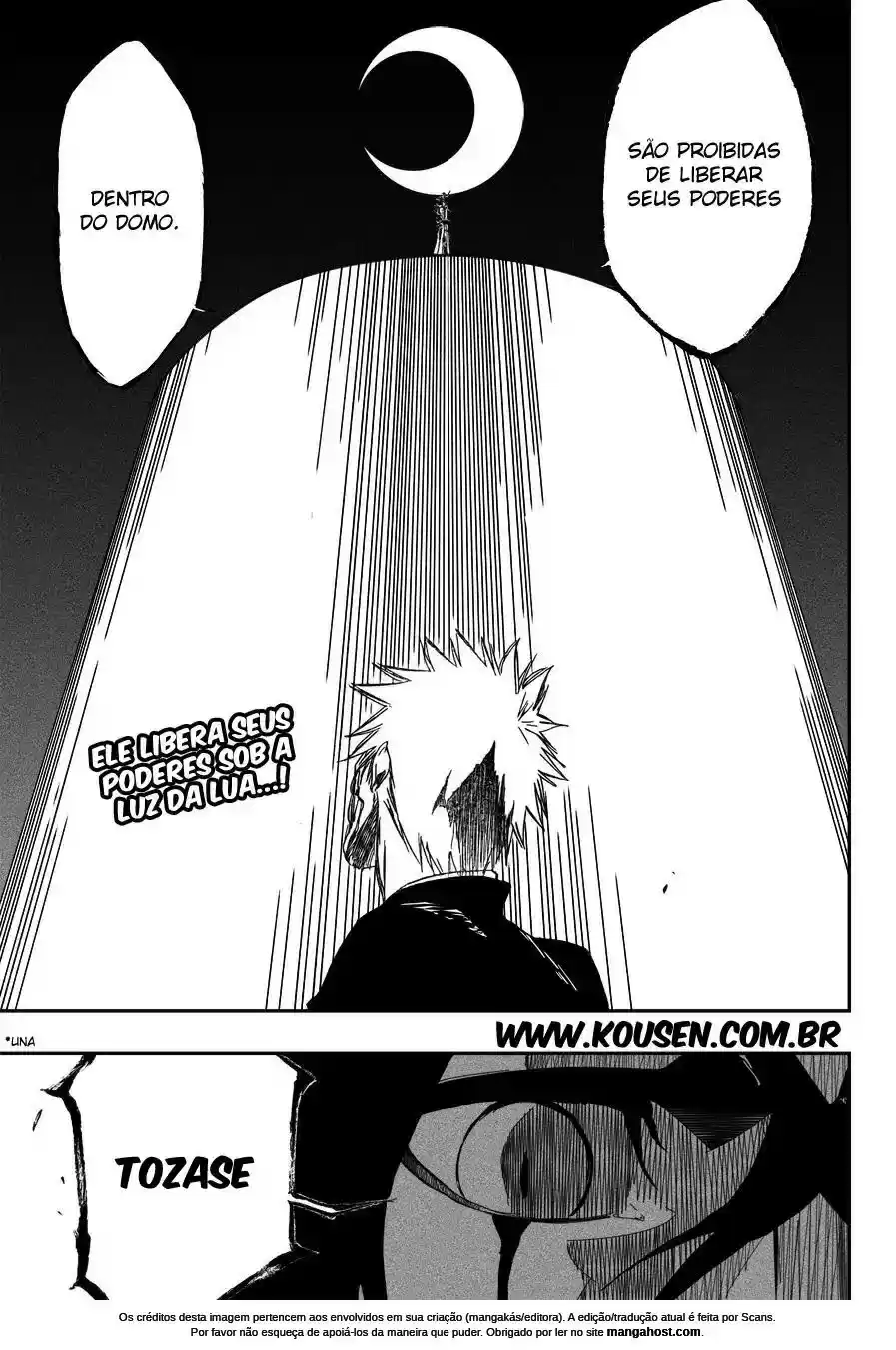 Read Bleach pt Manga Online