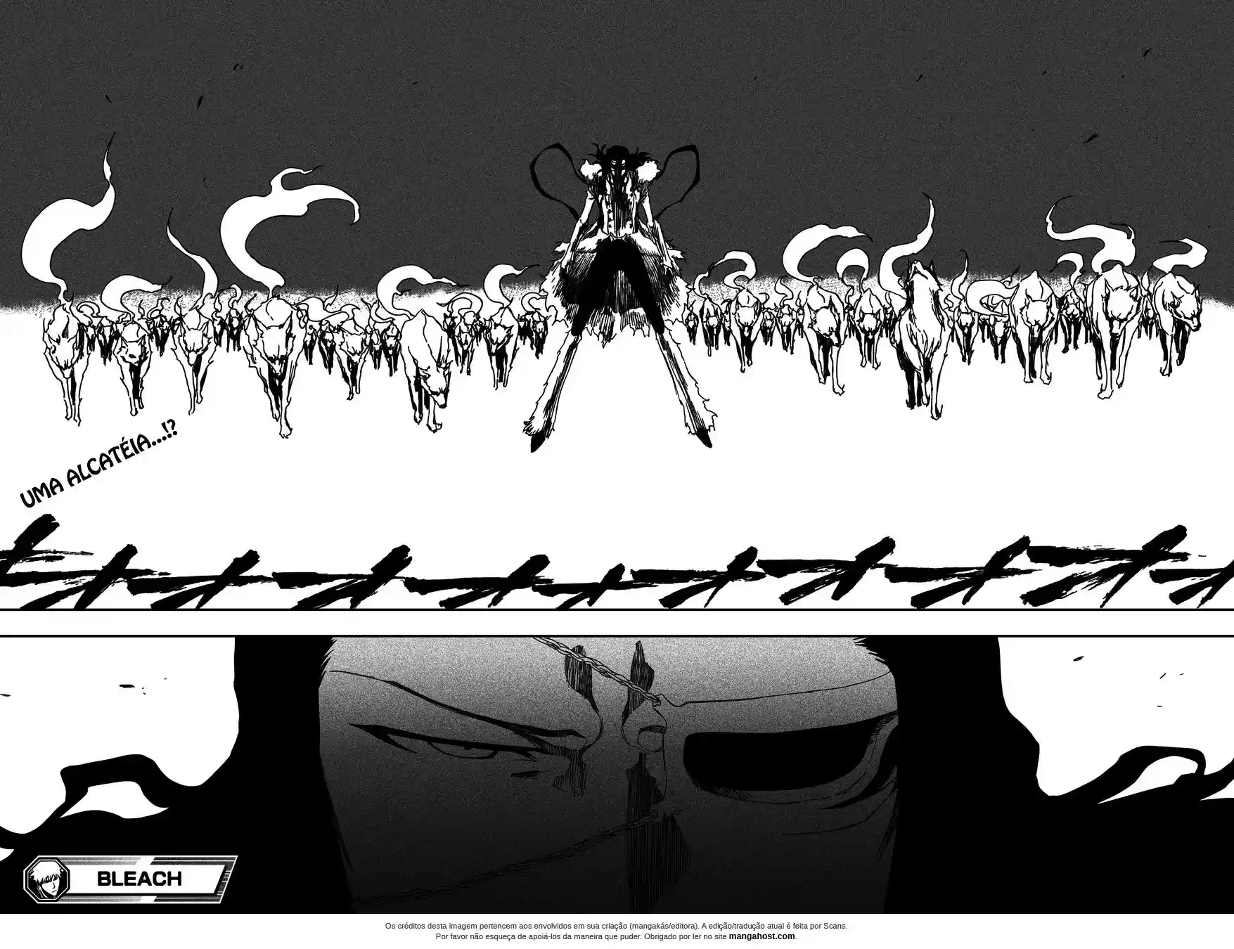 Read Bleach pt Manga Online