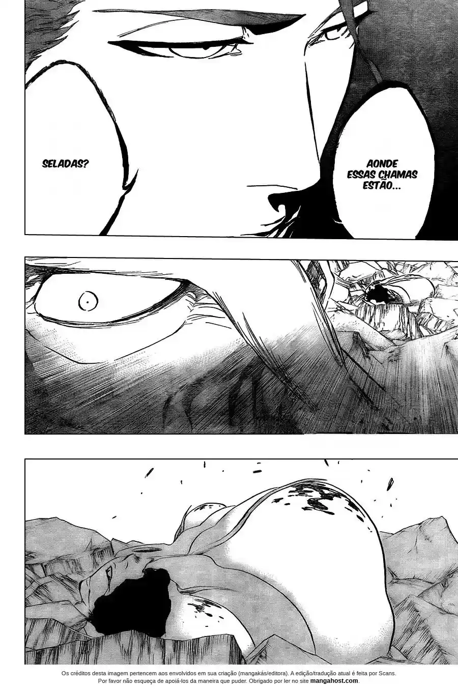 Read Bleach pt Manga Online