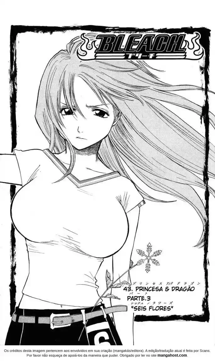 Read Bleach pt Manga Online