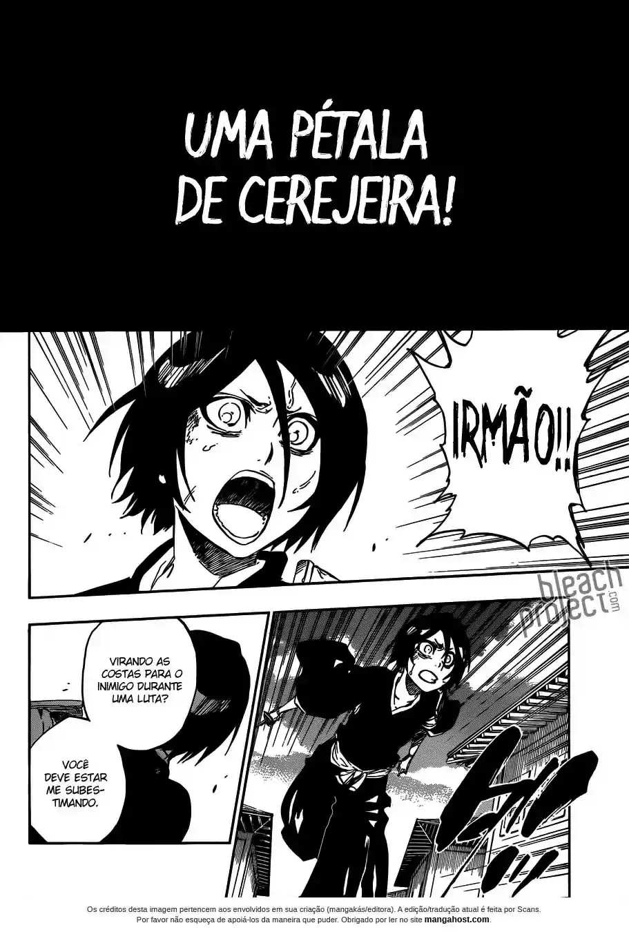 Read Bleach pt Manga Online