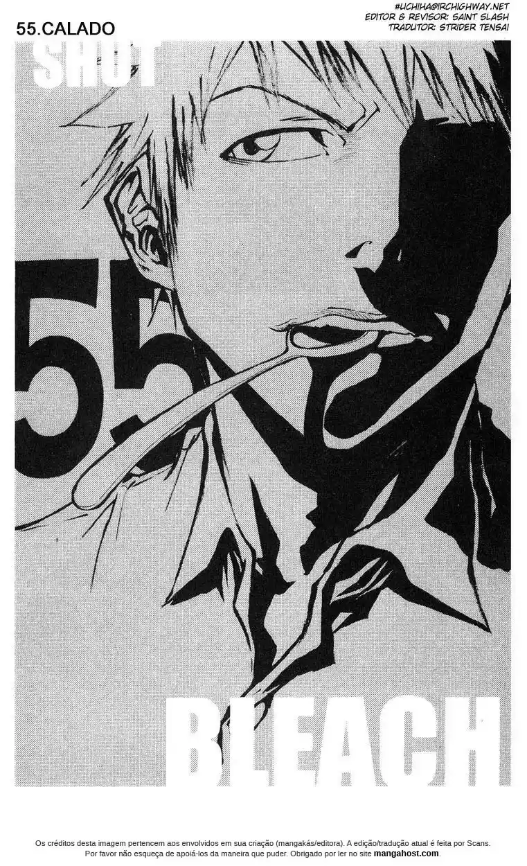 Read Bleach pt Manga Online