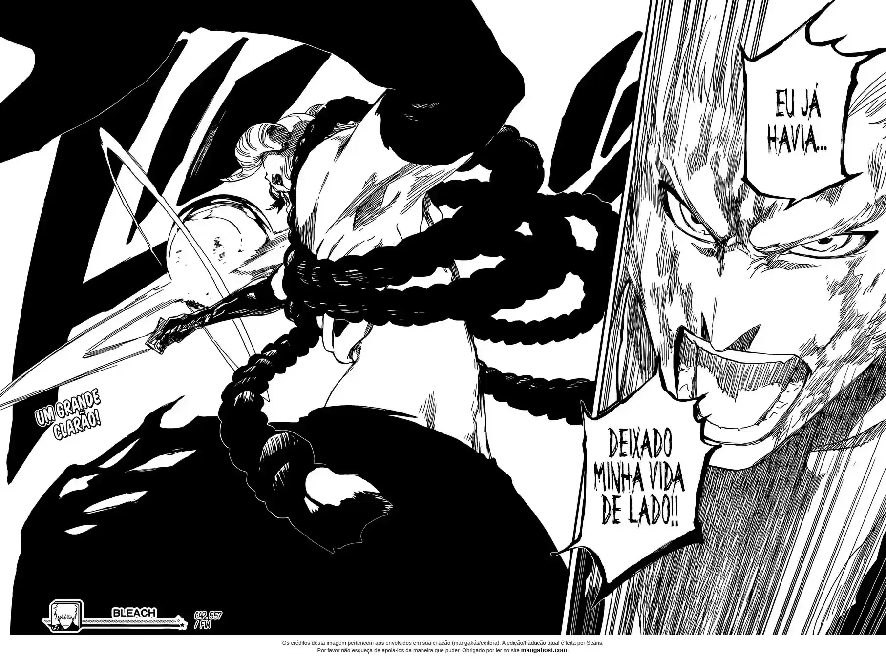 Read Bleach pt Manga Online