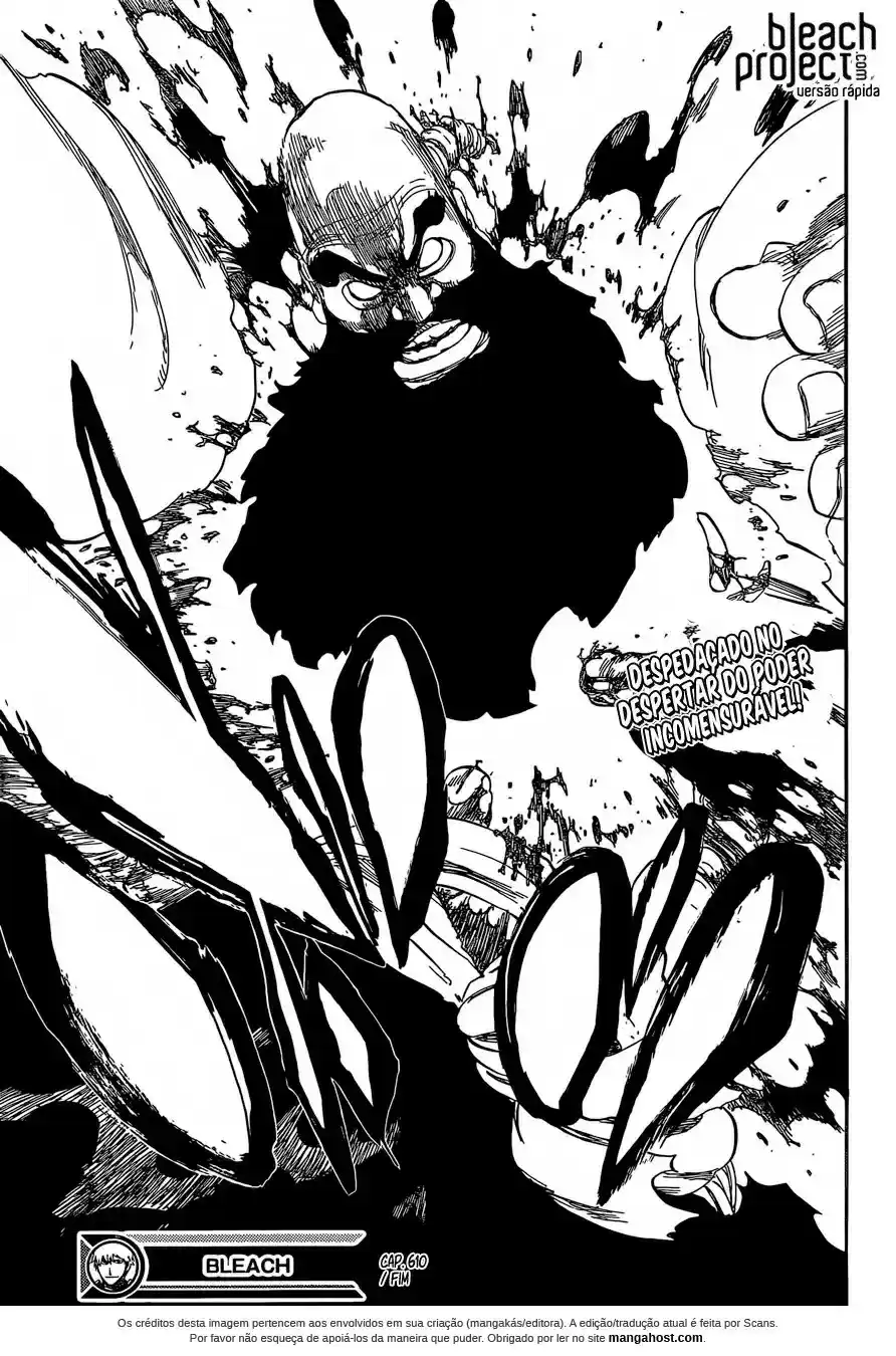Read Bleach pt Manga Online