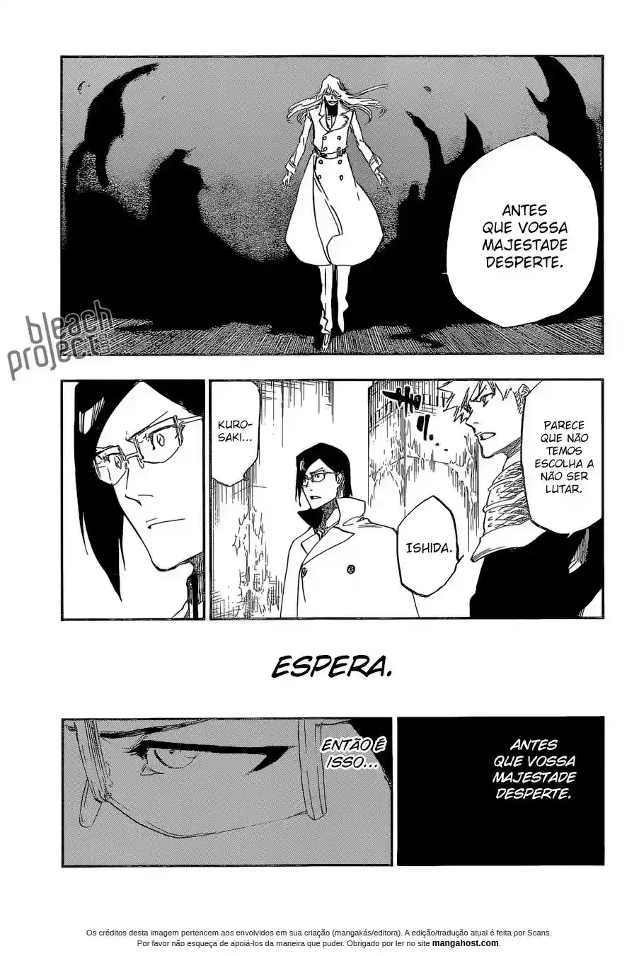 Read Bleach pt Manga Online
